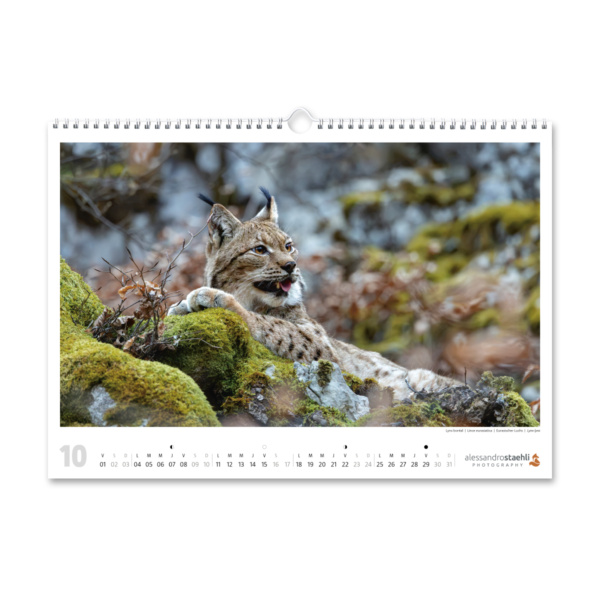 Cal-ASP-2027-3D_10-1200-1200px-sRGB Calendrier photo 2027